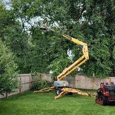 Leaf Removal in Liberty, TX